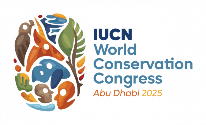 REST-COAST takes the stage at the 2025 IUCN Congress in Abu Dhabi